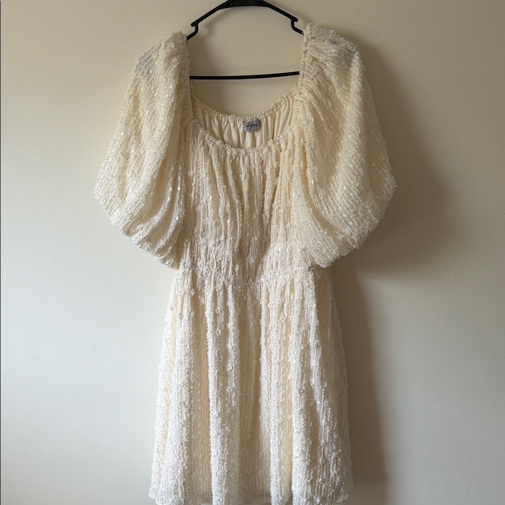 Textured Cream Puff-Sleeve Mini Dress